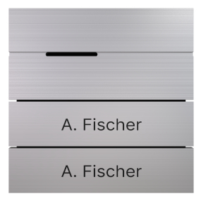 BALTER EVO-HD-PRO Sprachmodul mit 2 beschrifteten Tasten