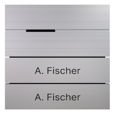 BALTER EVO-HD-PRO Sprachmodul mit 2 beschrifteten Tasten