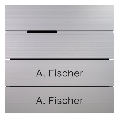 BALTER EVO-HD-PRO Sprachmodul mit 2 beschrifteten Tasten BALTER EVO-HD-PRO Sprachmodul mit 2 beschrifteten Tasten